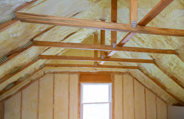 Best Specialized Insulation Services in Smyrna, TN