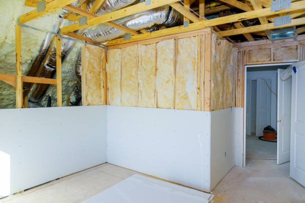 Best Insulation Maintenance and Repair in Smyrna, TN