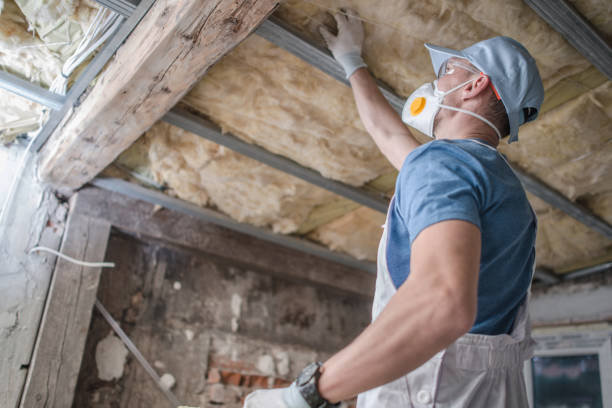 Best DIY Insulation Kits and Guidance in Smyrna, TN