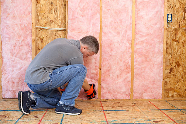 Best Eco-Friendly Insulation in Smyrna, TN